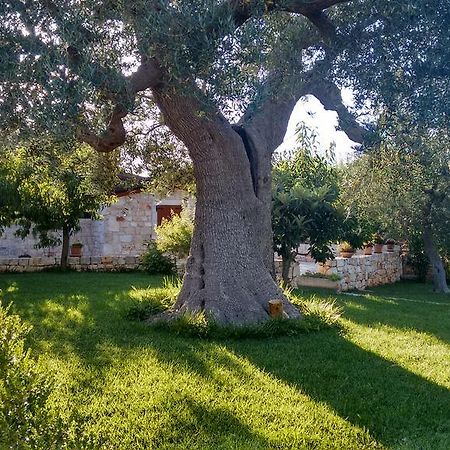 Bed and Breakfast Il Giardino Degli Ulivi Castellana Grotte Exteriér fotografie