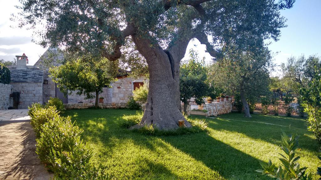 Bed and Breakfast Il Giardino Degli Ulivi Castellana Grotte Exteriér fotografie